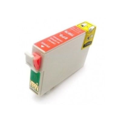 Epson Stylus Photo R1900 Orange Ink Replacement (T0879 / C13T087990)